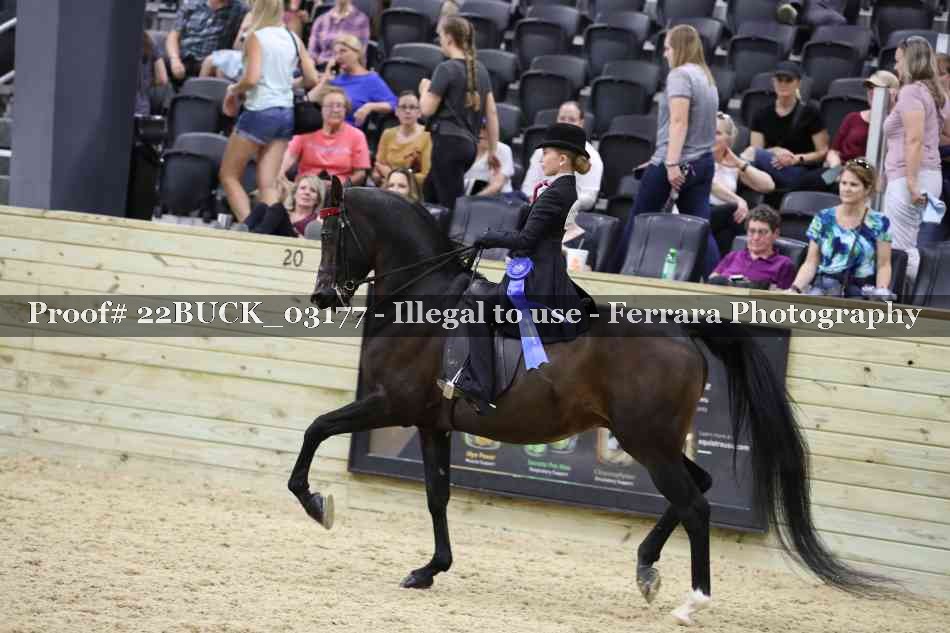 Proof 22BUCK_03177