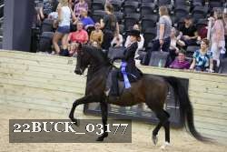 22BUCK_03177 proof