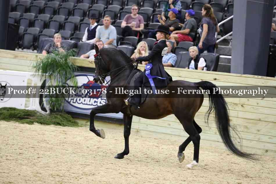 Proof 22BUCK_03178