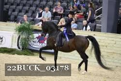 22BUCK_03178 proof
