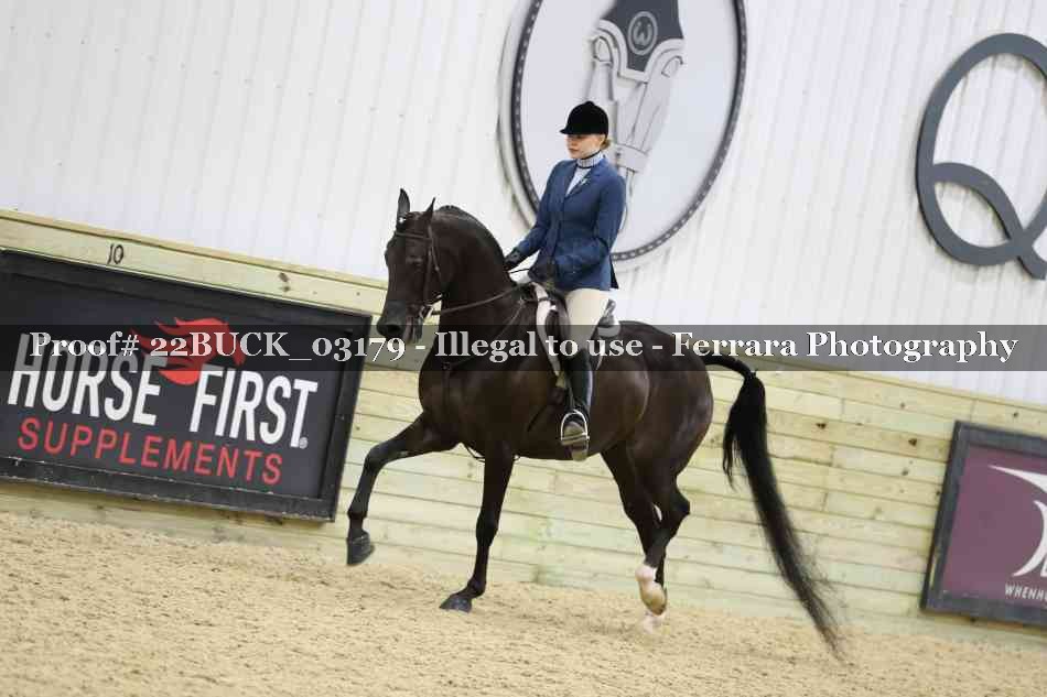 Proof 22BUCK_03179
