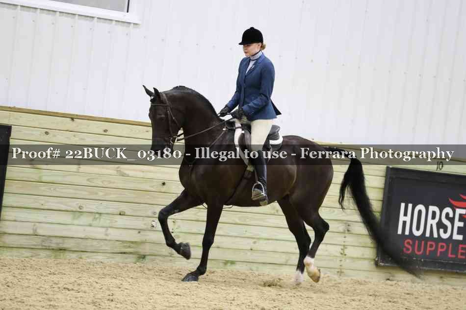 Proof 22BUCK_03180