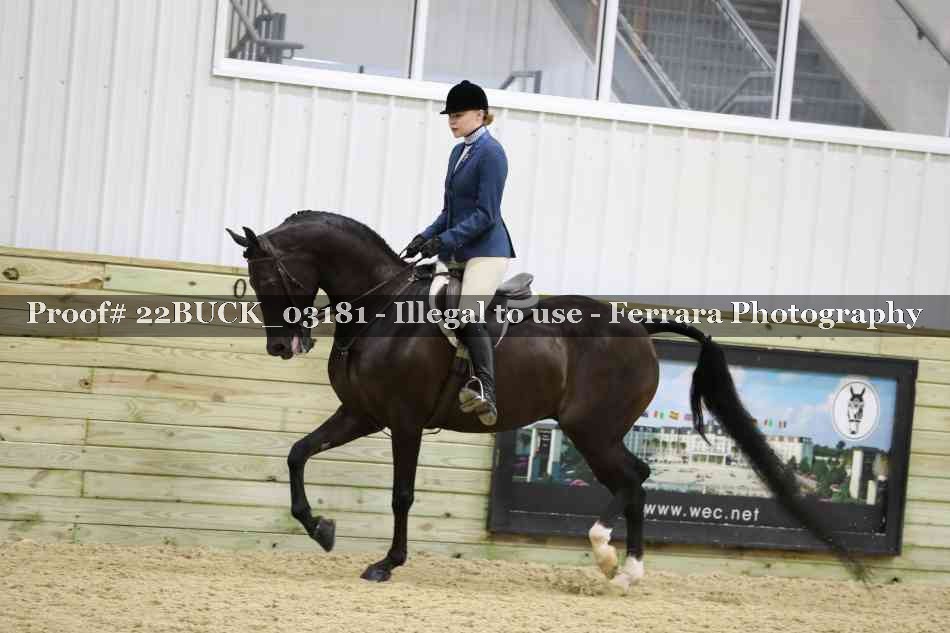 Proof 22BUCK_03181