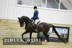 22BUCK_03181 proof
