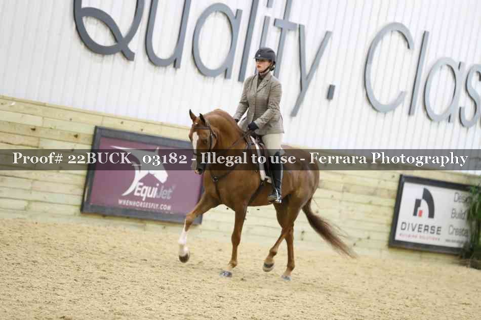 Proof 22BUCK_03182