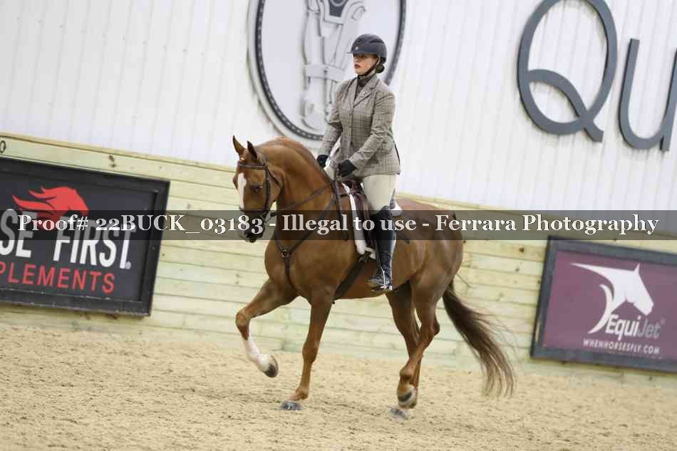 Proof 22BUCK_03183