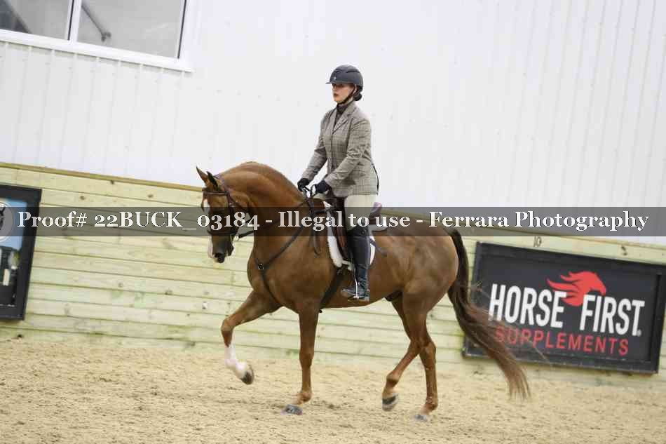 Proof 22BUCK_03184