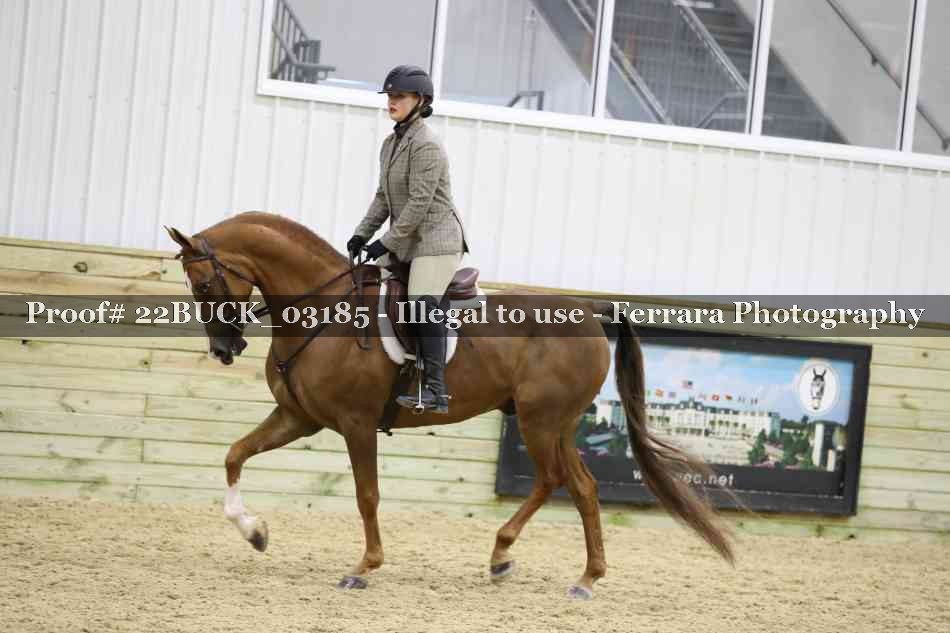 Proof 22BUCK_03185