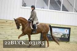 22BUCK_03185 proof