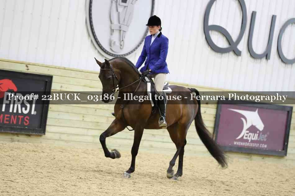 Proof 22BUCK_03186