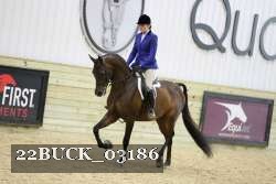 22BUCK_03186 proof