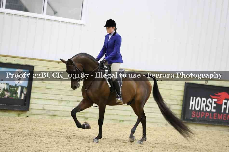 Proof 22BUCK_03187