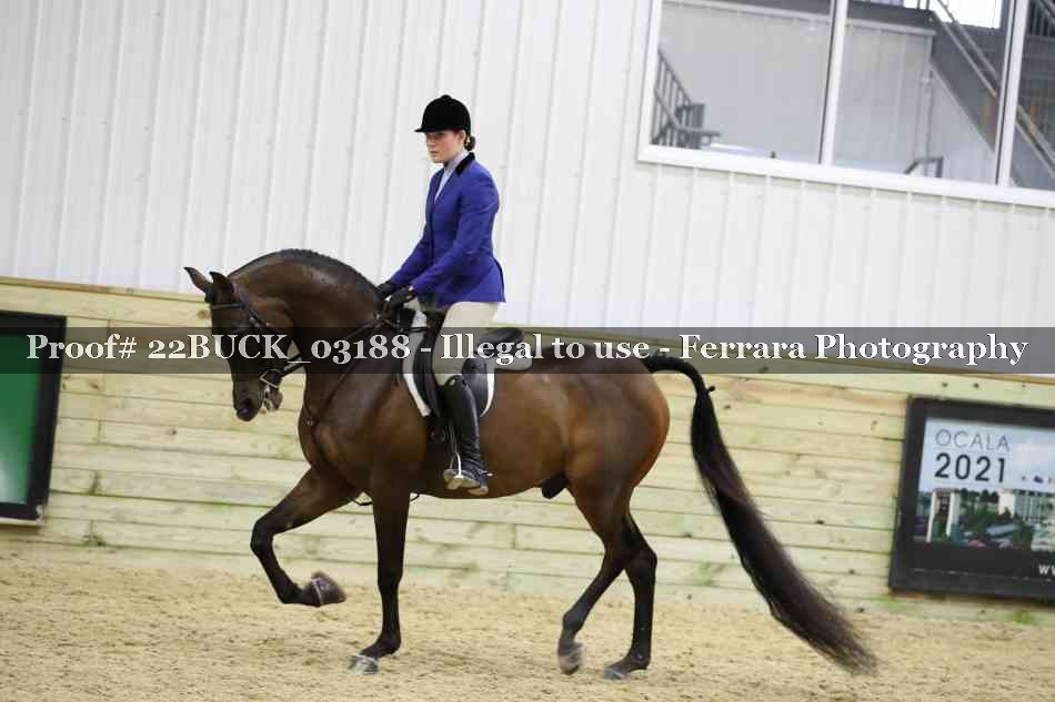 Proof 22BUCK_03188