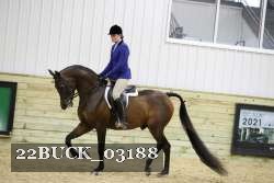 22BUCK_03188 proof