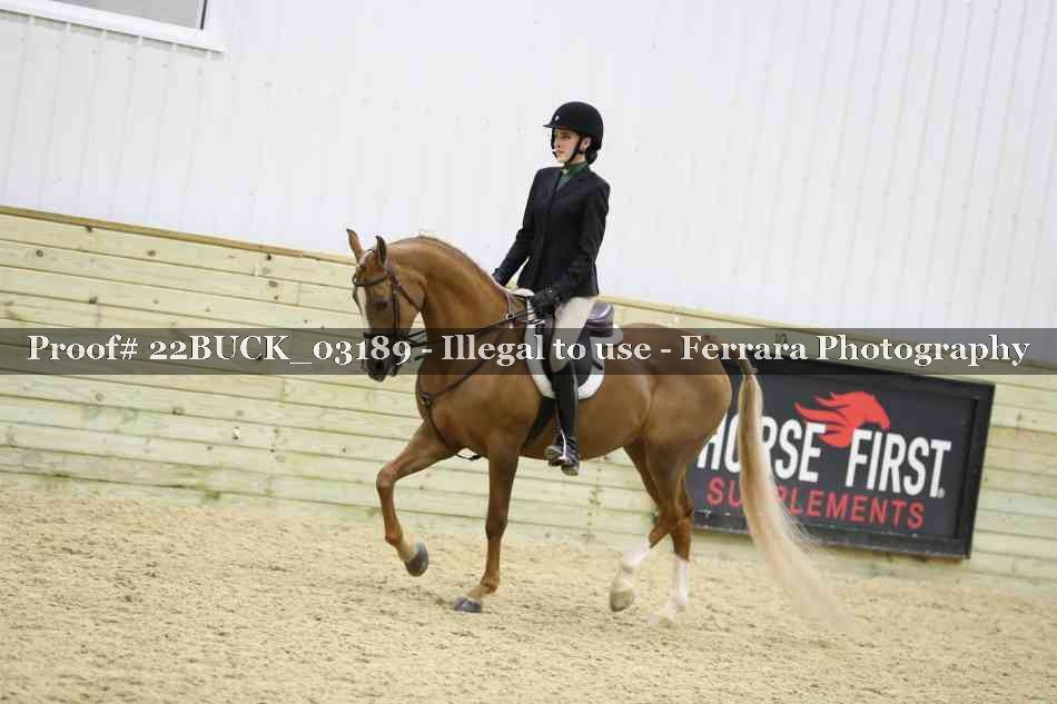 Proof 22BUCK_03189