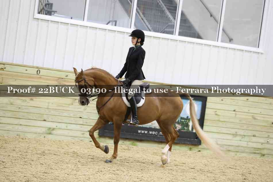 Proof 22BUCK_03190