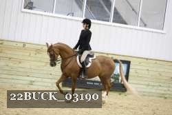 22BUCK_03190 proof