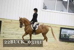 22BUCK_03191 proof