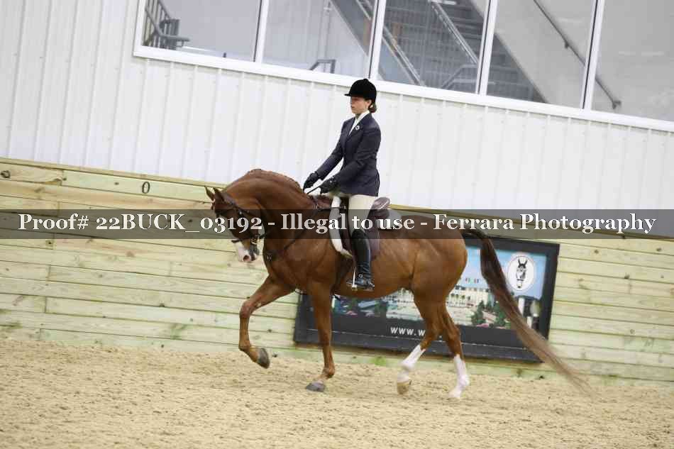 Proof 22BUCK_03192