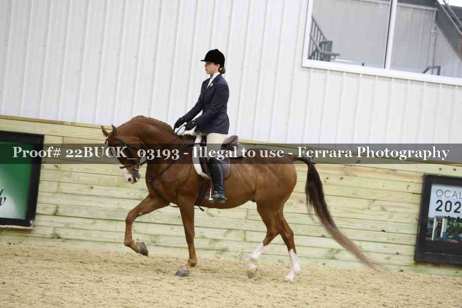 Proof 22BUCK_03193