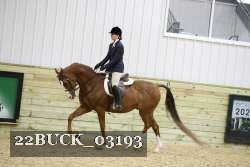 22BUCK_03193 proof