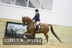 22BUCK_03194 proof