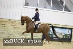 22BUCK_03195 proof