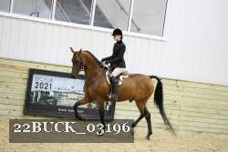 22BUCK_03196 proof