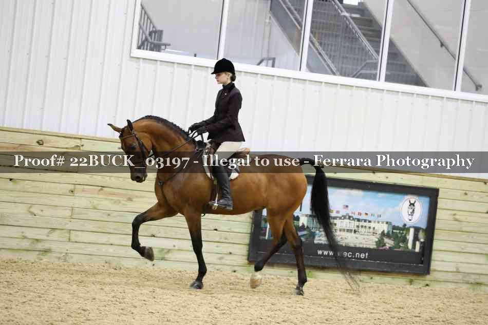 Proof 22BUCK_03197