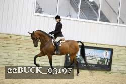 22BUCK_03197 proof