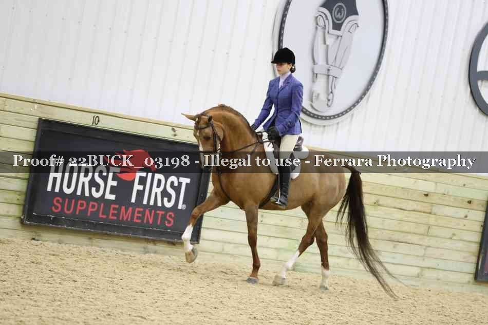 Proof 22BUCK_03198