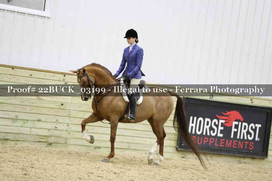 Proof 22BUCK_03199