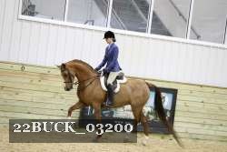 22BUCK_03200 proof
