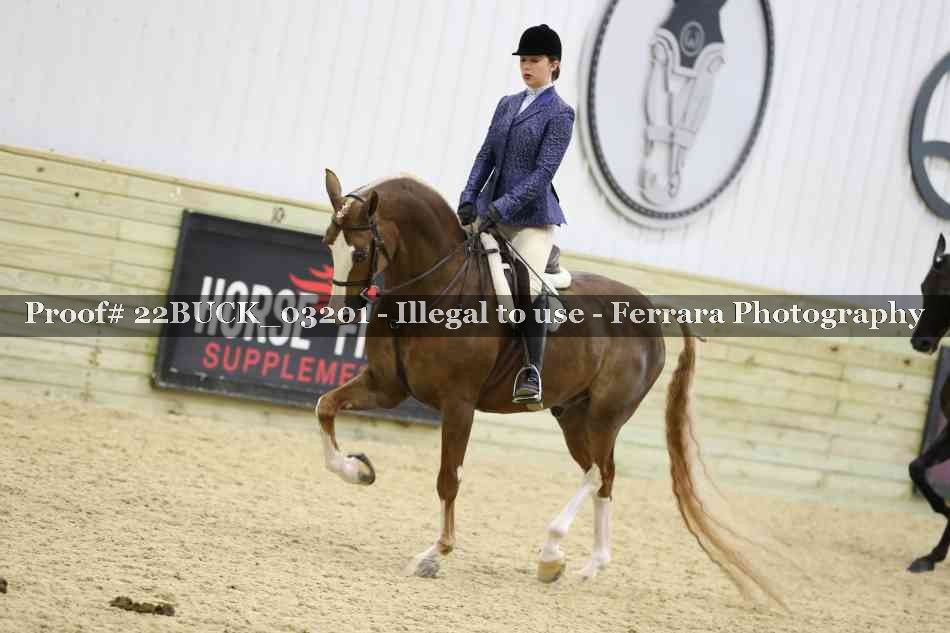 Proof 22BUCK_03201