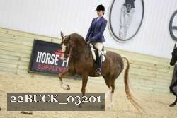 22BUCK_03201 proof