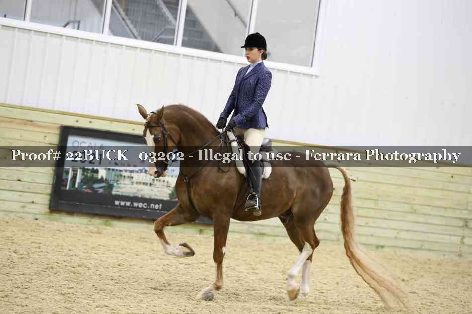 Proof 22BUCK_03202
