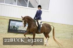 22BUCK_03202 proof
