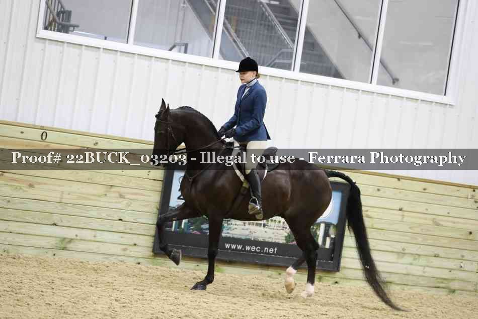 Proof 22BUCK_03203