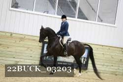 22BUCK_03203 proof