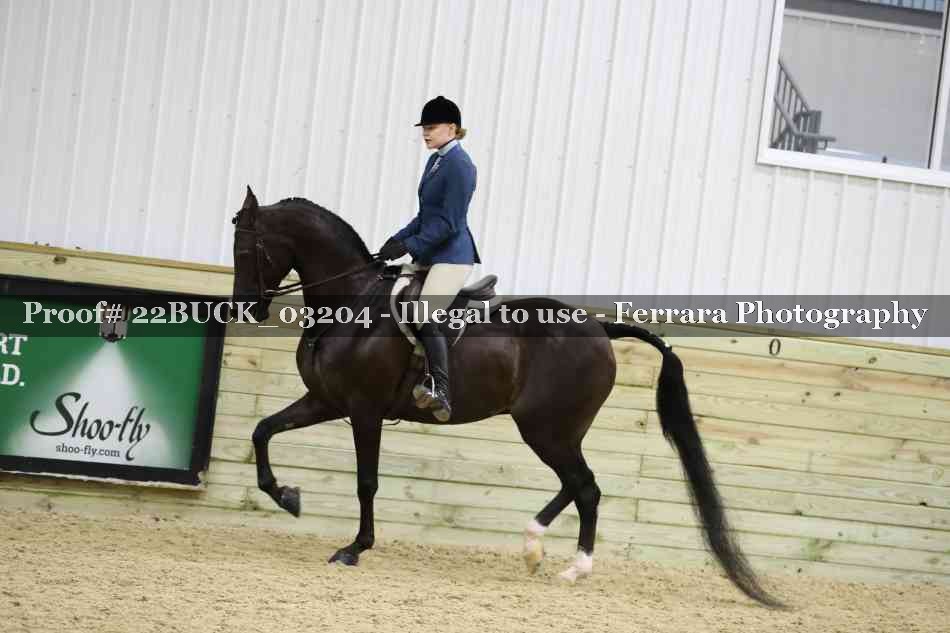 Proof 22BUCK_03204