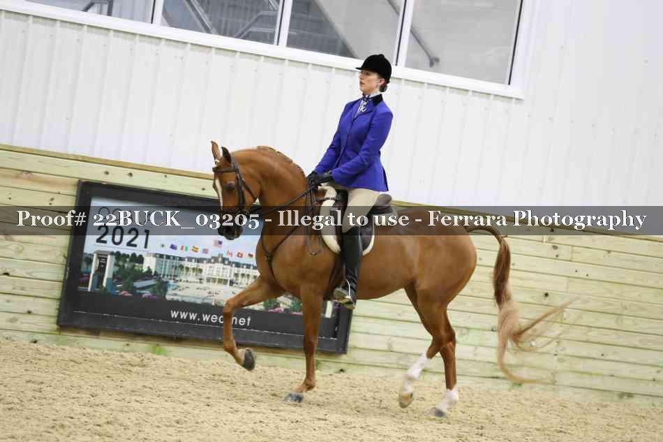 Proof 22BUCK_03205
