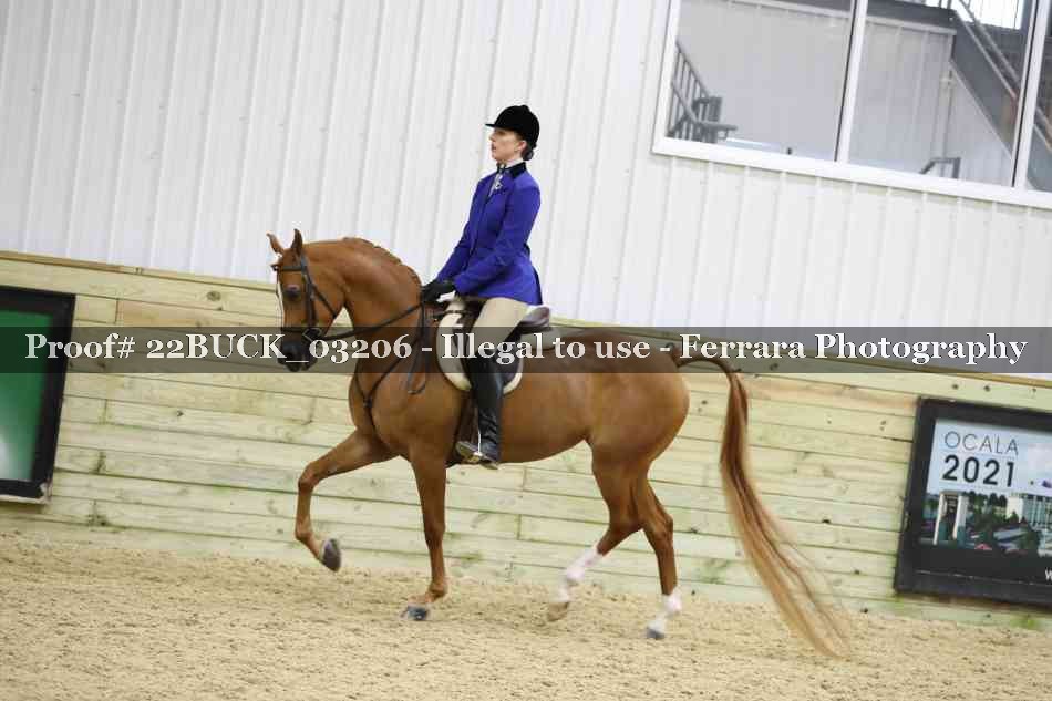 Proof 22BUCK_03206