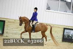 22BUCK_03206 proof