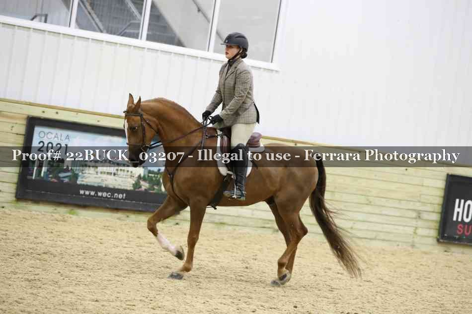 Proof 22BUCK_03207