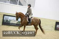 22BUCK_03207 proof