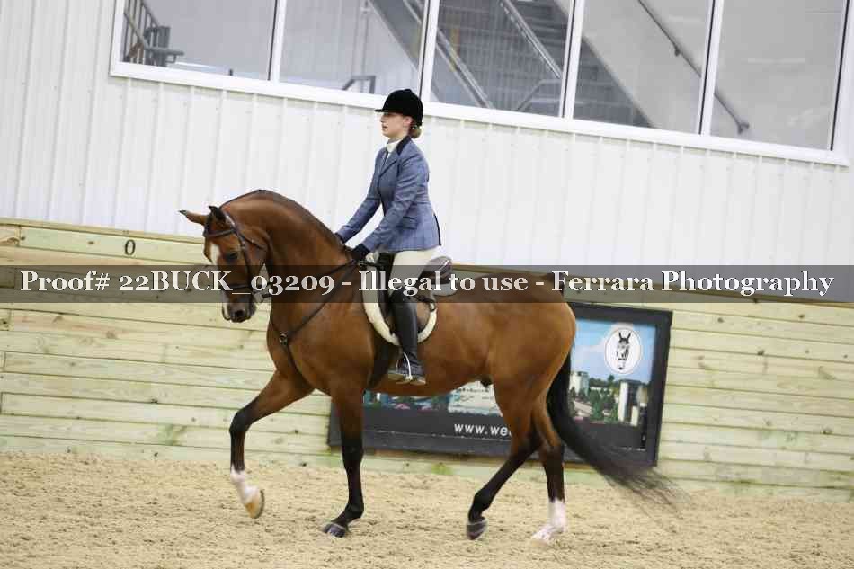 Proof 22BUCK_03209