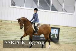22BUCK_03209 proof
