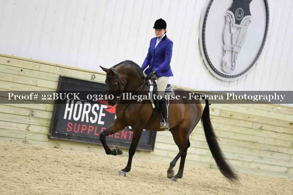 Proof 22BUCK_03210