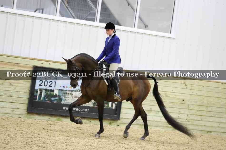 Proof 22BUCK_03211