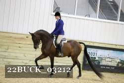 22BUCK_03212 proof